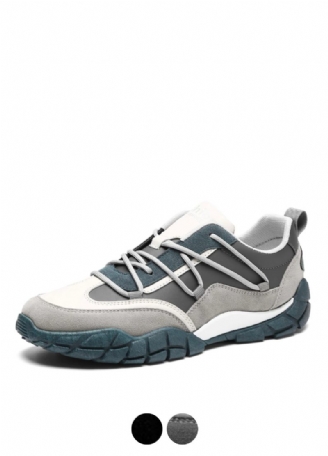 Aguirre Modesneakers För Män