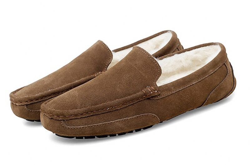 Alejandro Loafers Skor För Män - Brun