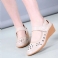 Beige Hollow