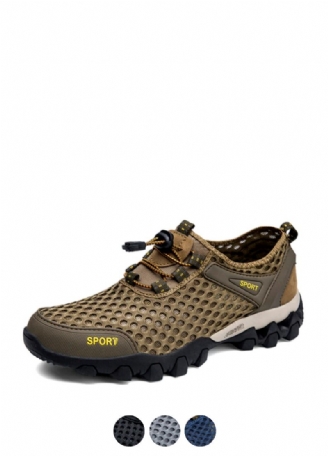 Anthony Herrsneakers