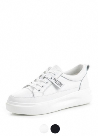 Archi Sneaker I Läder I