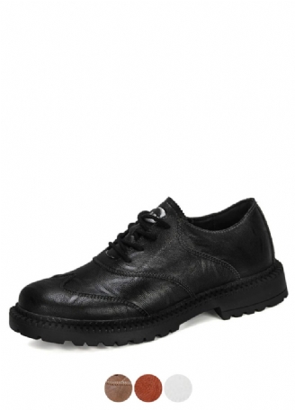 Arnelio Oxford Casual Skor För Män