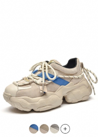 Asher Sneakers För Kvinnor