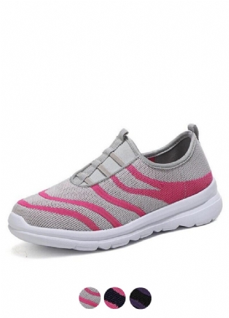 Aspelenie Sneakers