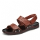 Brun 1