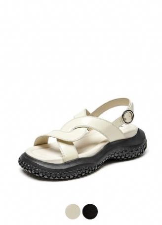 Betsy Damsandal