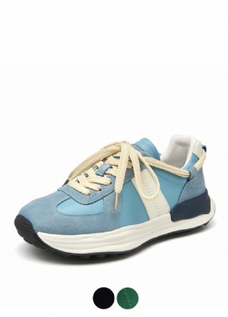 Brach Sneaker Dam