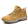 Golden 2
