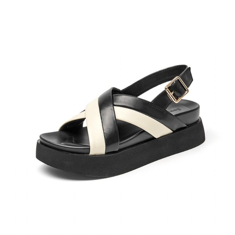 Catalina Sandal För Kvinnor - Svart