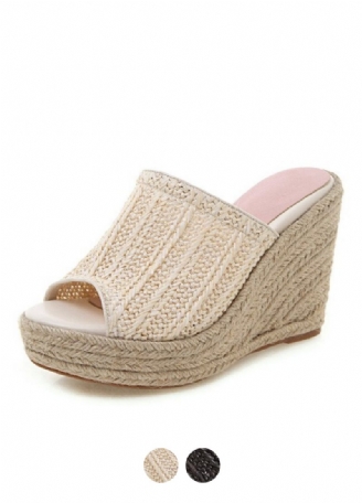 Ceres Wedges
