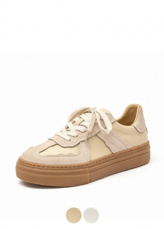 Corny Damsneaker