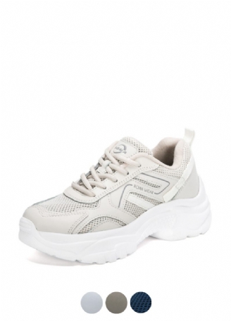 Corona Sneaker Dam