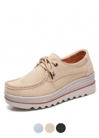 Creepers Damplattform