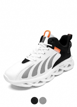 Danzo Casual Sneakers För Män