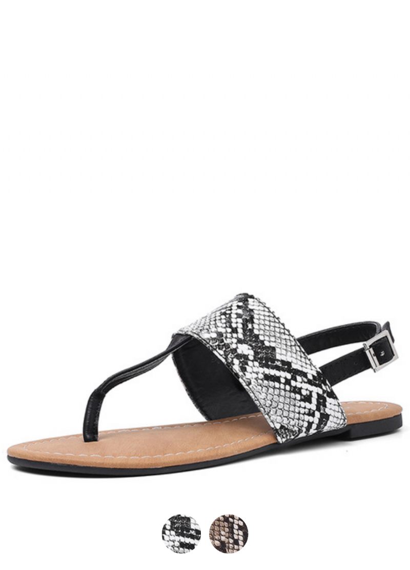 Georgia Sandaler