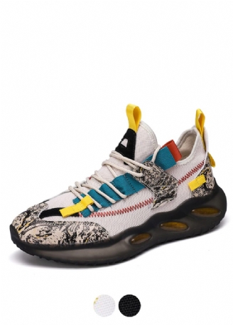 Gloxinia Modesneakers För Män