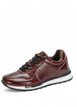 Grayson Modesneakers För Män