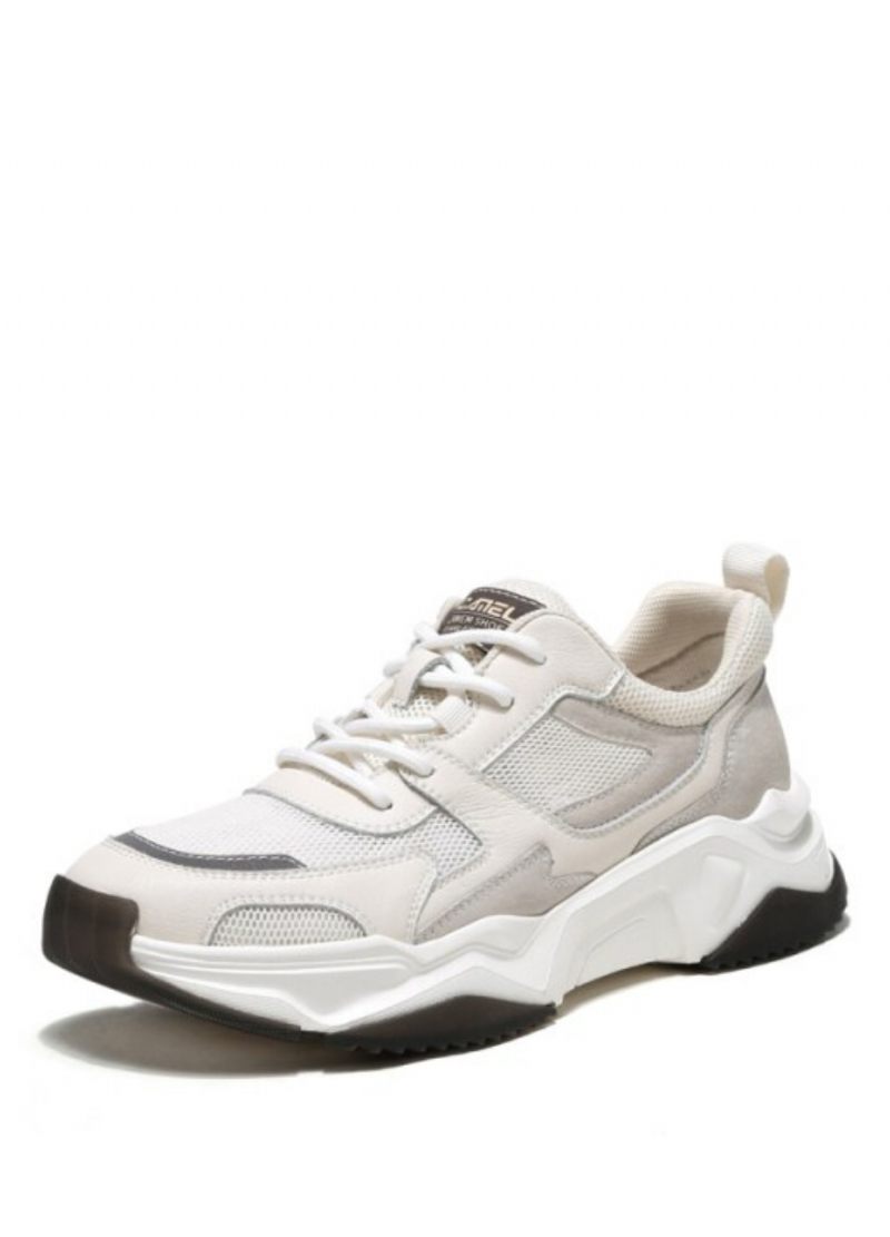 Greyber Casual Sneakers För Män