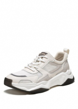 Greyber Casual Sneakers För Män