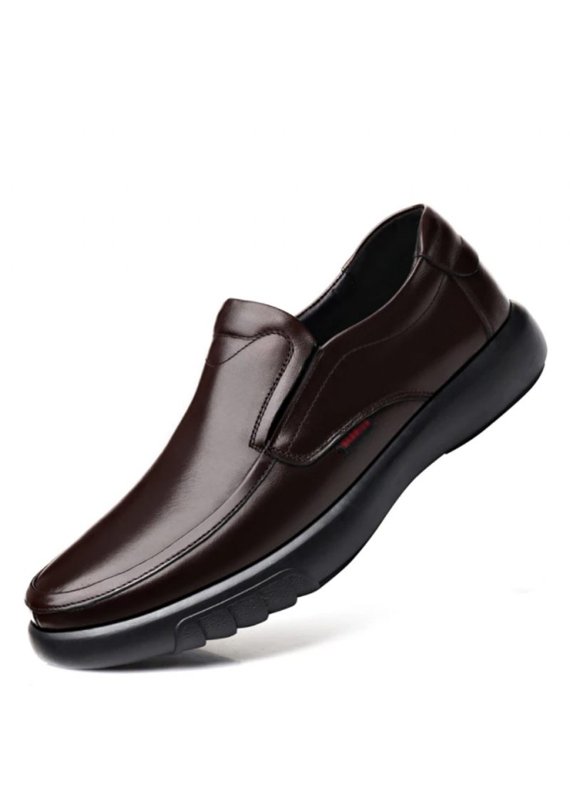 Haiden Loafers Lyxiga Skor För Män