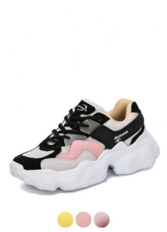 Lake Trendiga Sneaker Med Snörning För Kvinnor