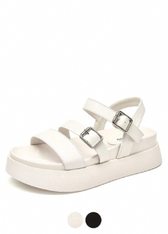 Lucy Damsandal