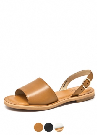Manu Sandaler