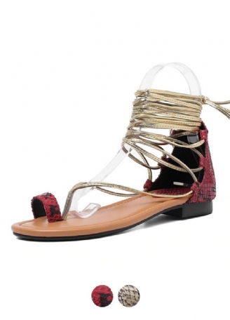 Merope Sandaler