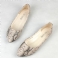 Beige orm