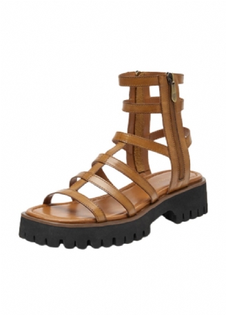 Morelia Gladiator Sandal För Kvinnor