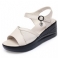 Beige 2.3 tum