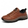 Brun 1