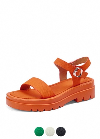 Octavia Damsandal