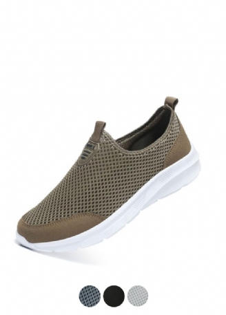Pinto Herrsneaker