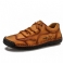 Brun 1