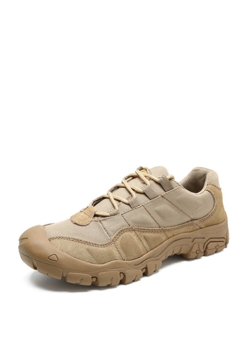 Rokoko Herrsneakers