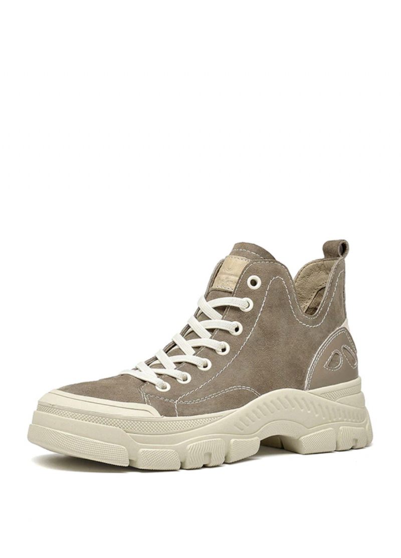 Stefany Damsneaker