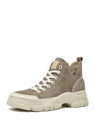 Stefany Damsneaker
