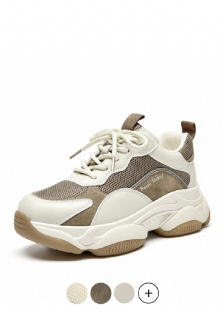 Tabatha Sneaker Dam